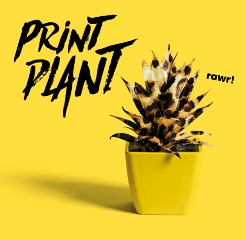 printplant.jpg