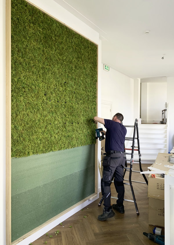 Groene Wand Mos2.jpg